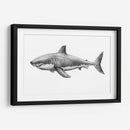 Img377 - Efraín Malo | Cuadro decorativo de Canvas Lab