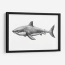 Img377 - Efraín Malo | Cuadro decorativo de Canvas Lab