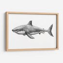 Img377 - Efraín Malo | Cuadro decorativo de Canvas Lab