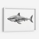 Img377 - Efraín Malo | Cuadro decorativo de Canvas Lab