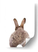 Bunny Back | Cuadro decorativo de Canvas Lab