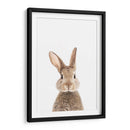 Bunny Front | Cuadro decorativo de Canvas Lab