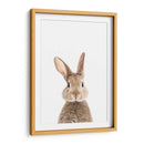 Bunny Front | Cuadro decorativo de Canvas Lab