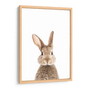 Bunny Front | Cuadro decorativo de Canvas Lab