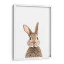 Bunny Front | Cuadro decorativo de Canvas Lab