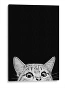 Curious Cat Black | Cuadro decorativo de Canvas Lab