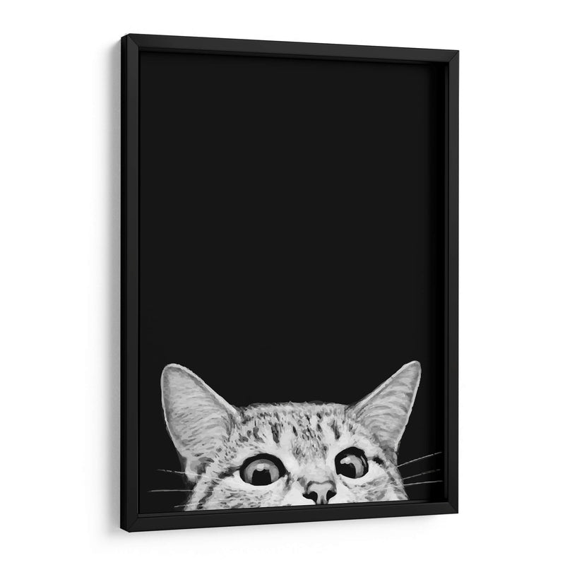 Curious Cat Black | Cuadro decorativo de Canvas Lab