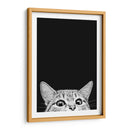Curious Cat Black | Cuadro decorativo de Canvas Lab