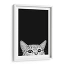 Curious Cat Black | Cuadro decorativo de Canvas Lab