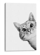 Curious Cat White | Cuadro decorativo de Canvas Lab