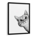 Curious Cat White | Cuadro decorativo de Canvas Lab
