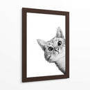 Curious Cat White | Cuadro decorativo de Canvas Lab