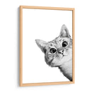 Curious Cat White | Cuadro decorativo de Canvas Lab