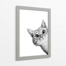 Curious Cat White | Cuadro decorativo de Canvas Lab