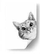 Curious Cat White | Cuadro decorativo de Canvas Lab