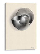 CONCHA DE MAR - Gina Villalobos | Cuadro decorativo de Canvas Lab