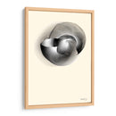 CONCHA DE MAR - Gina Villalobos | Cuadro decorativo de Canvas Lab