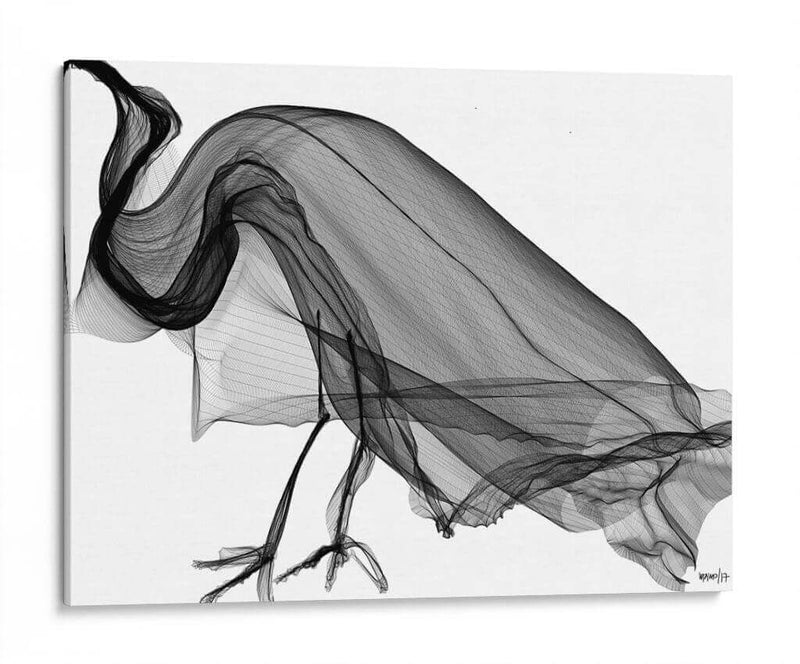 CUERVO - Gina Villalobos | Cuadro decorativo de Canvas Lab