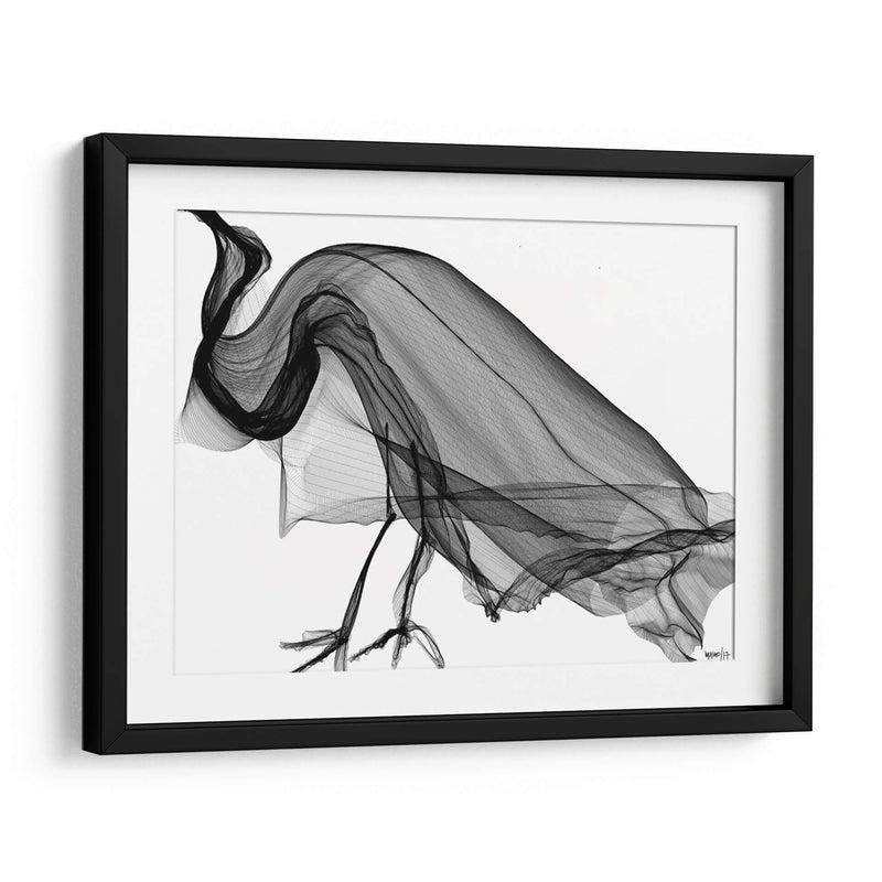 CUERVO - Gina Villalobos | Cuadro decorativo de Canvas Lab