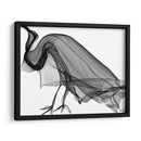 CUERVO - Gina Villalobos | Cuadro decorativo de Canvas Lab