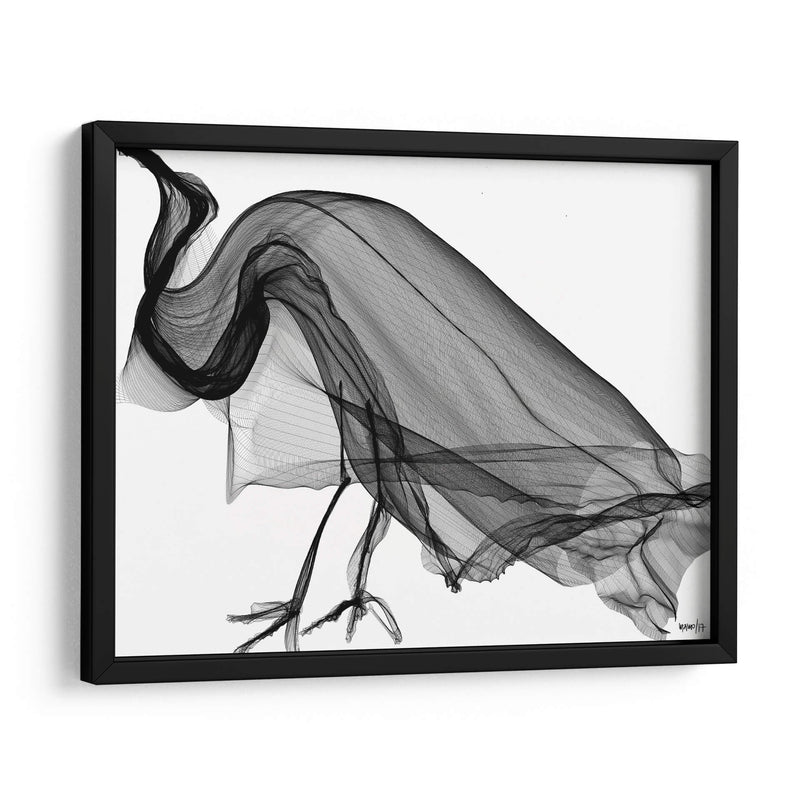 CUERVO - Gina Villalobos | Cuadro decorativo de Canvas Lab
