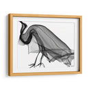 CUERVO - Gina Villalobos | Cuadro decorativo de Canvas Lab