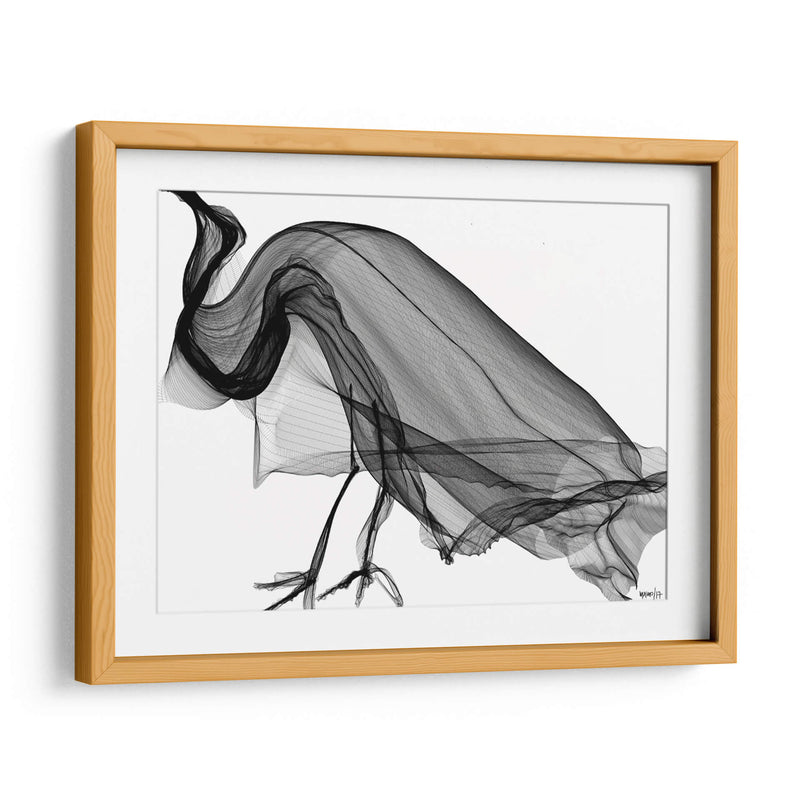 CUERVO - Gina Villalobos | Cuadro decorativo de Canvas Lab