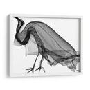 CUERVO - Gina Villalobos | Cuadro decorativo de Canvas Lab