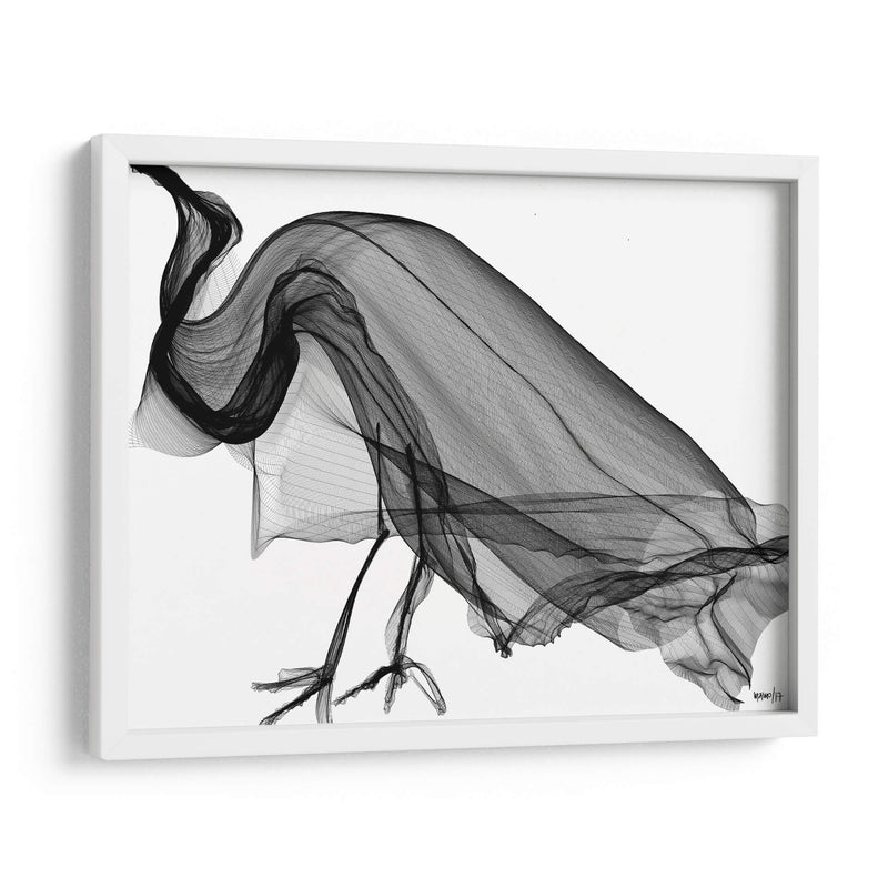 CUERVO - Gina Villalobos | Cuadro decorativo de Canvas Lab