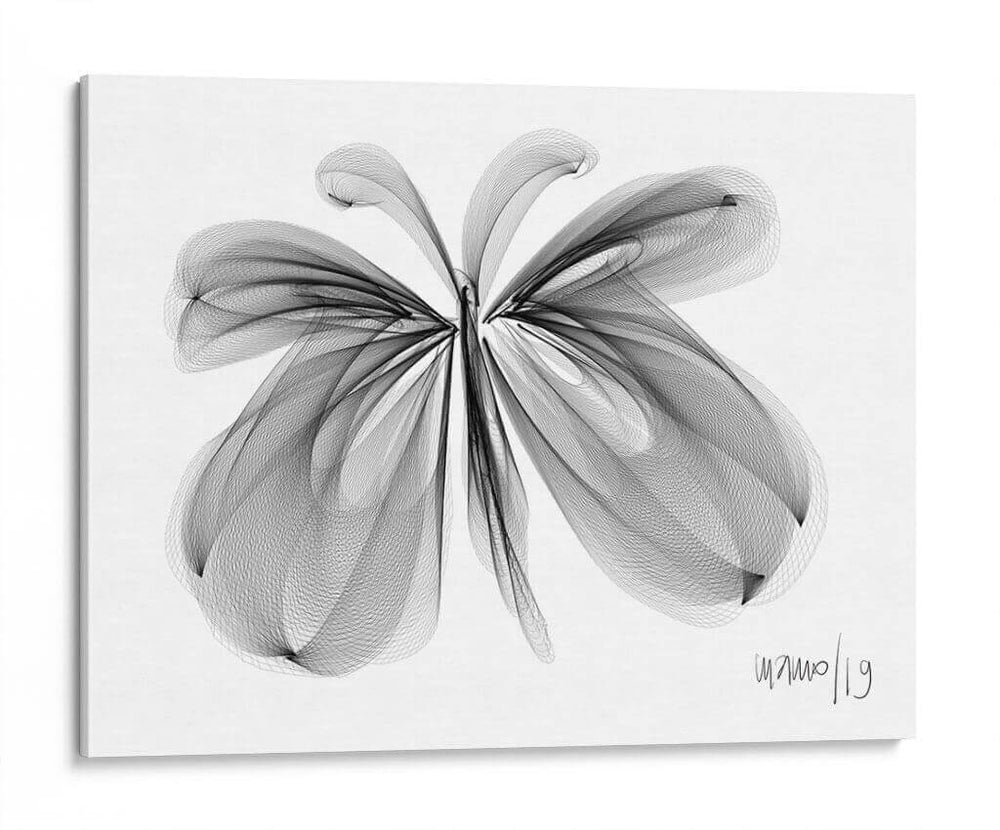 MARIPOSA - Gina Villalobos | Cuadro decorativo de Canvas Lab