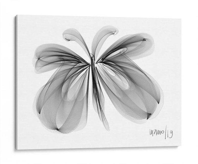 MARIPOSA - Gina Villalobos | Cuadro decorativo de Canvas Lab