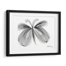 MARIPOSA - Gina Villalobos | Cuadro decorativo de Canvas Lab