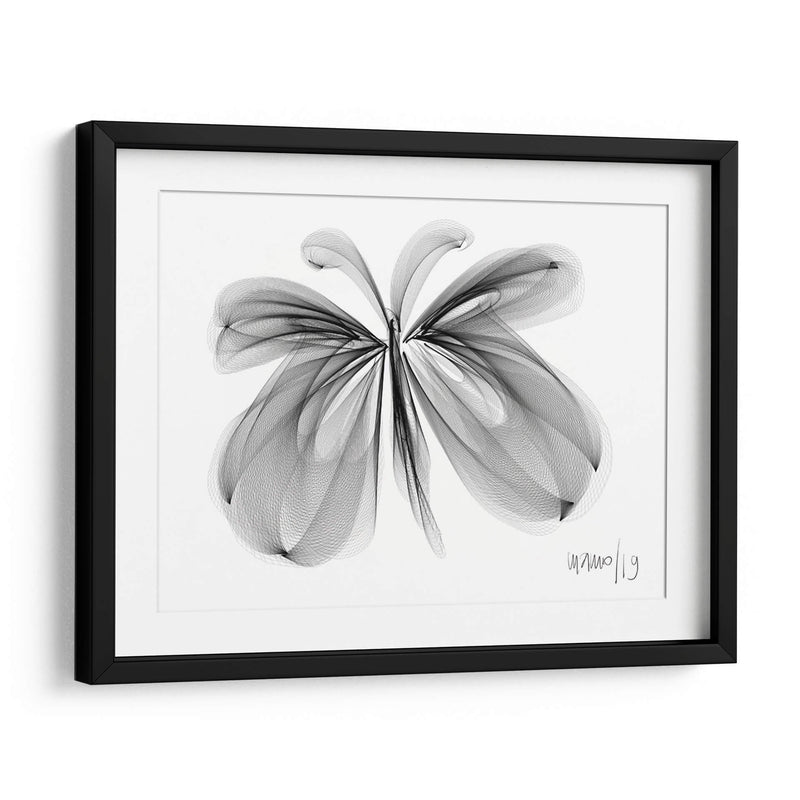 MARIPOSA - Gina Villalobos | Cuadro decorativo de Canvas Lab