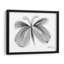 MARIPOSA - Gina Villalobos | Cuadro decorativo de Canvas Lab