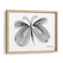 MARIPOSA - Gina Villalobos | Cuadro decorativo de Canvas Lab