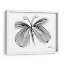 MARIPOSA - Gina Villalobos | Cuadro decorativo de Canvas Lab