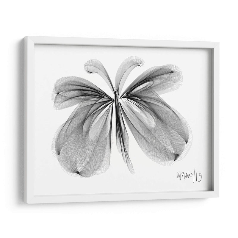 MARIPOSA - Gina Villalobos | Cuadro decorativo de Canvas Lab