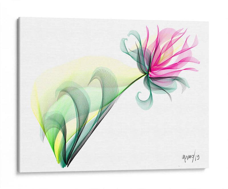 SALUD Y ESPERANZA - Gina Villalobos | Cuadro decorativo de Canvas Lab