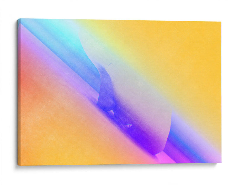 Beso tornasol | Cuadro decorativo de Canvas Lab