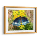 Mariposa azul | Cuadro decorativo de Canvas Lab