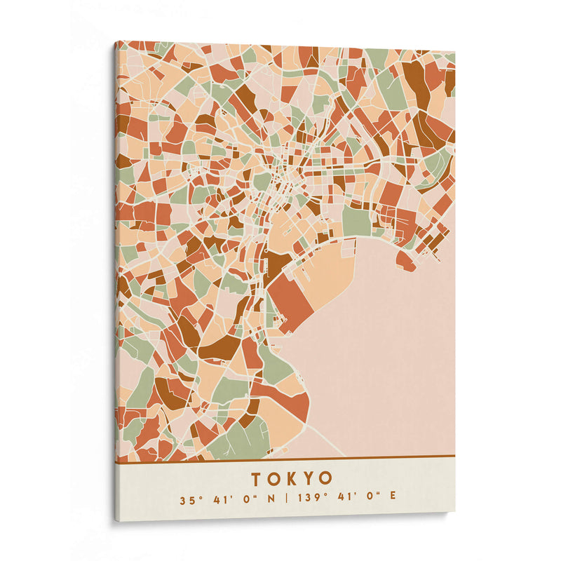 Tokio, Mapas negros Tonos tierra 88 - Emiliano Deificus | Cuadro decorativo de Canvas Lab