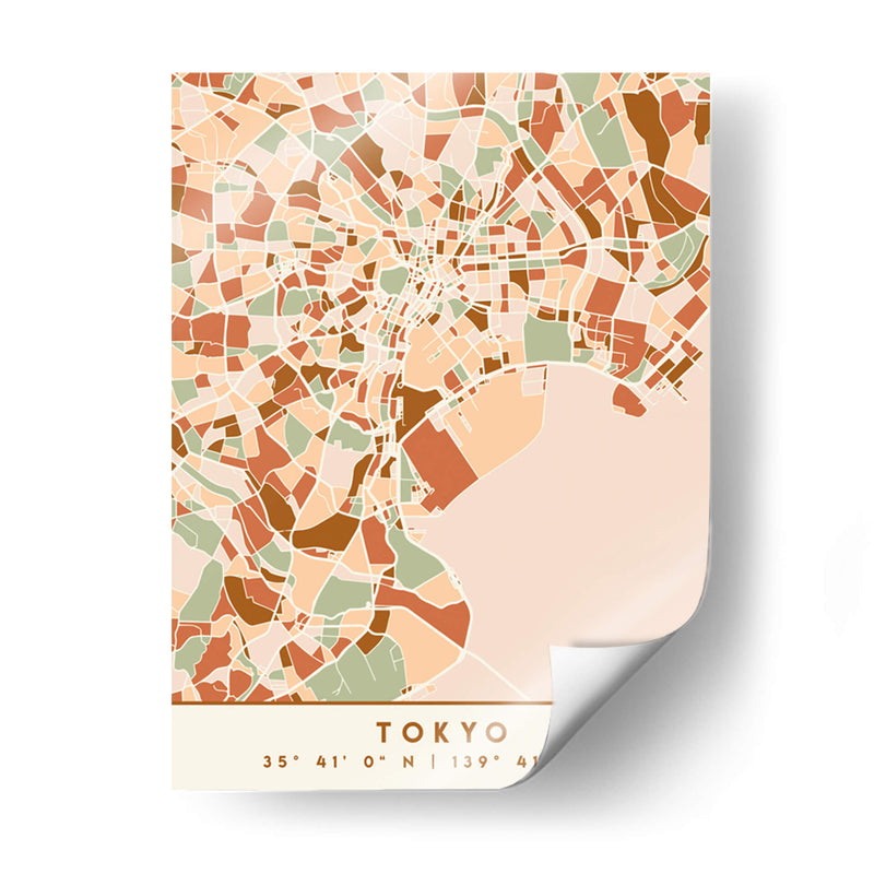 Tokio, Mapas negros Tonos tierra 88 - Emiliano Deificus | Cuadro decorativo de Canvas Lab