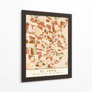 Saint Louis, Mapas negros Tonos tierra 82 - Emiliano Deificus | Cuadro decorativo de Canvas Lab