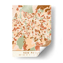 Sao Paulo, Mapas negros Tonos tierra 77 - Emiliano Deificus | Cuadro decorativo de Canvas Lab