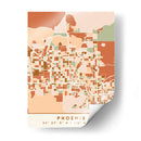 Fenix, Mapas negros Tonos tierra 66 - Emiliano Deificus | Cuadro decorativo de Canvas Lab