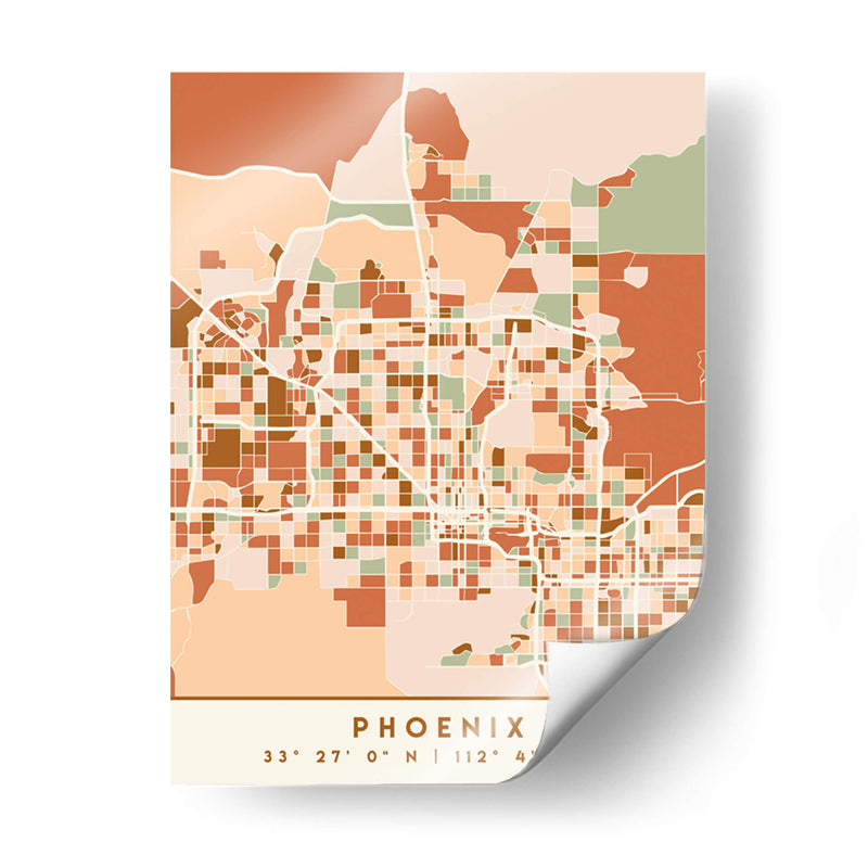 Fenix, Mapas negros Tonos tierra 66 - Emiliano Deificus | Cuadro decorativo de Canvas Lab