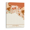 Estanbul, Mapas Negros Tonos Tierra 35 - Emiliano Deificus | Cuadro decorativo de Canvas Lab
