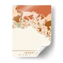 Estanbul, Mapas Negros Tonos Tierra 35 - Emiliano Deificus | Cuadro decorativo de Canvas Lab