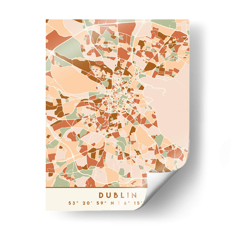 Dublin, Mapas negros Tonos tierra 28 - Emiliano Deificus | Cuadro decorativo de Canvas Lab