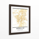 Medellin, 1 Mapas 2 50 - Emiliano Deificus | Cuadro decorativo de Canvas Lab